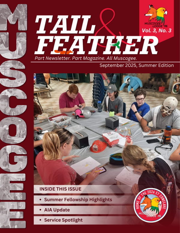 2025 Tail and Feather Summer Edition